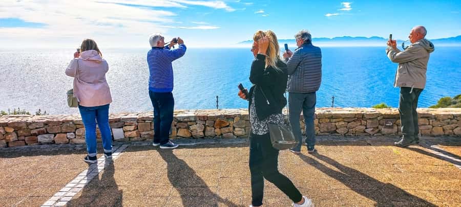Private Tour from CapeTown to Cape of Good hope & cape point - Cape Point Vineyards: picnic and wine tasting options