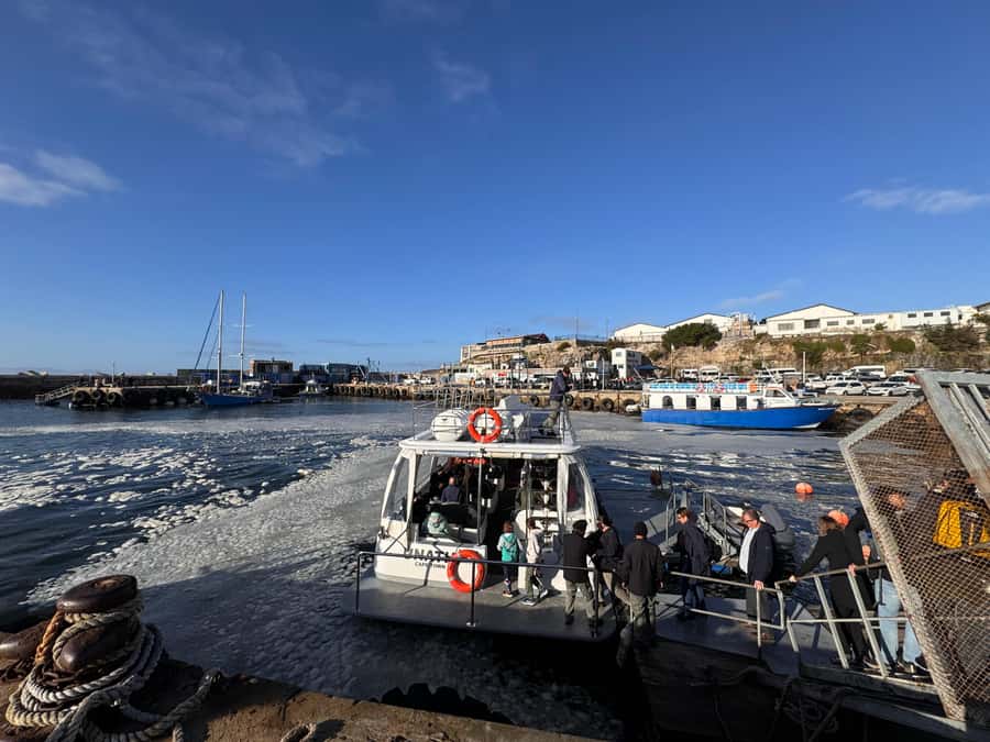 Private Tour: Hermanus- Boat Based Whale Watching Experience - Who should book, and who should skip it
