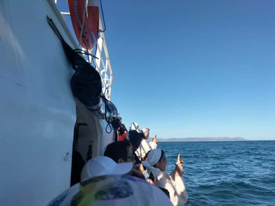 Private Tour: Hermanus- Boat Based Whale Watching Experience - Stony Point Penguin Colony: the land-based warm-up
