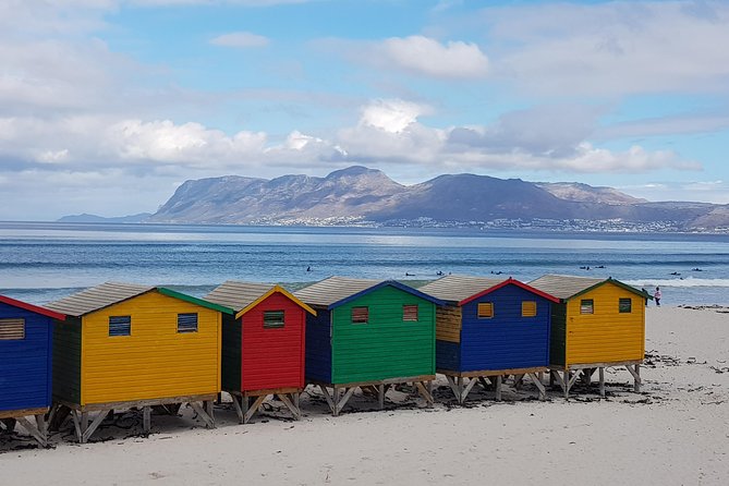 Private Tour Of Penguins, Cape Of Good Hope & Peninsula. - Private penguins and peninsula time, minus the bus-rush