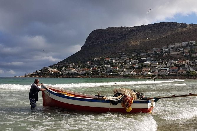 Private Tour Of Penguins, Cape Of Good Hope & Peninsula. - Scarborough, Noordhoek, and the local-food pause