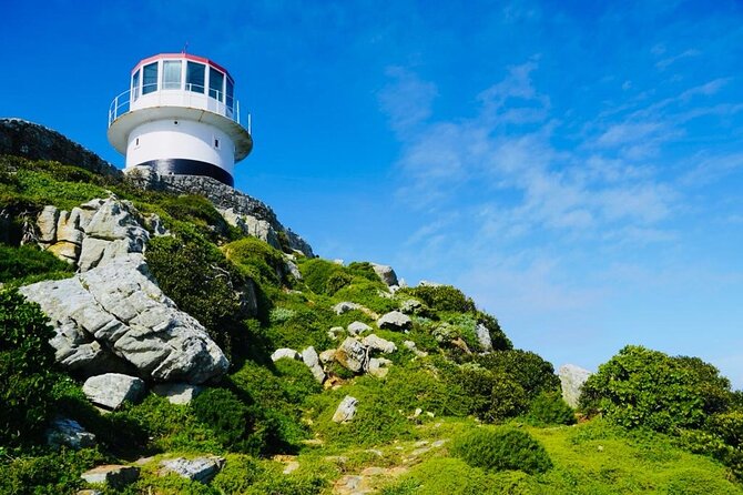 Private Tour: Penguins, Cape Point and Cape of Good Hope - Noordhoek Farm Village: a short break with coffee or juice