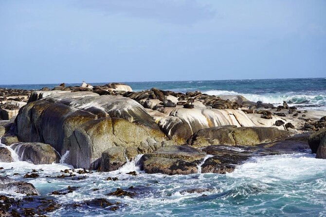 Private Tour: Penguins, Cape Point and Cape of Good Hope - Old Cape Point and the lighthouse: hike or take the Flying Dutchman funicular
