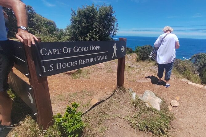 Private Tour:,Table Mountain ,Cape of Good hope & Penguins colony - Value for $200: What You’re Actually Buying With This Day