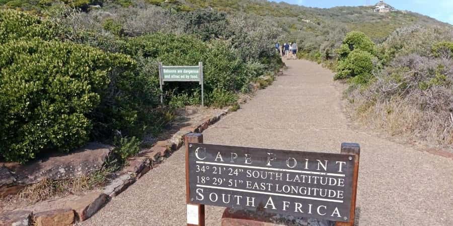 Private Tour: Table Mountain, Penguins Colony & Cape Of Good - Key Things I’d Highlight Before You Book