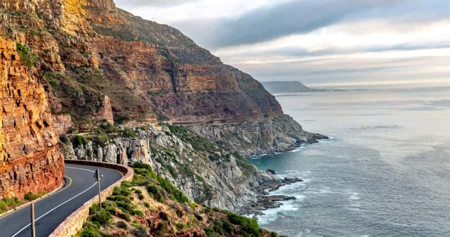 Private Tour: Table Mountain, Penguins Colony & Cape Of Good - Cape of Good Hope: Two Oceans, Wildlife Time, and Big Photo Energy
