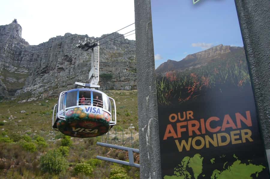 Private Tour: Table Mountain, Penguins Colony & Cape Of Good - Price and Value: How $100 Per Person Adds Up on a Full-Day Loop