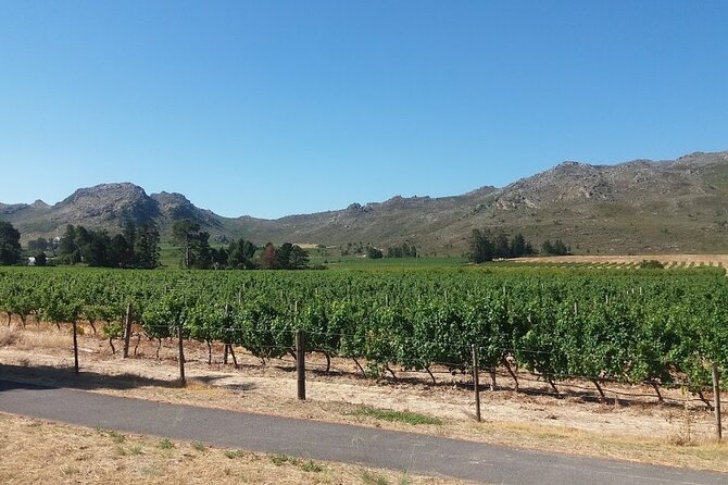 Private Tour To Stellenbosch Franschoek Wineries from Cape Town Price Per Group - Bergkelder: The Big Underground Cellar and Its Old-World Machinery