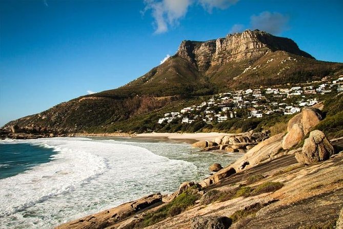 Private Transfer: CPT Airport to Cape Town in Luxury Van - Meet-and-greet in arrivals: what you will experience right after landing