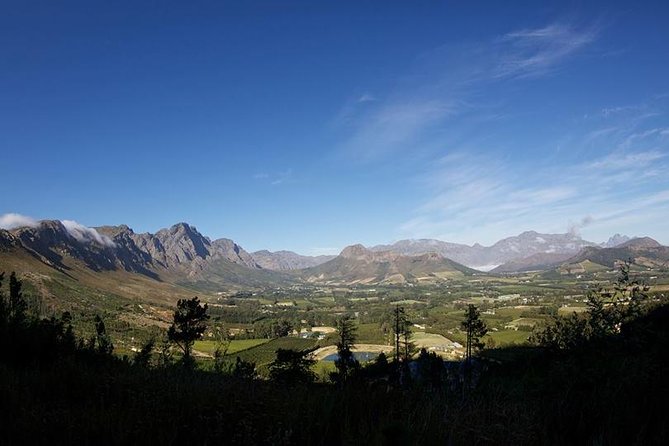 Private Wine Tour with Wine Expert to Stellenbosch-Franschhoek Wine Regions - Wine expert guidance: what you get for your money