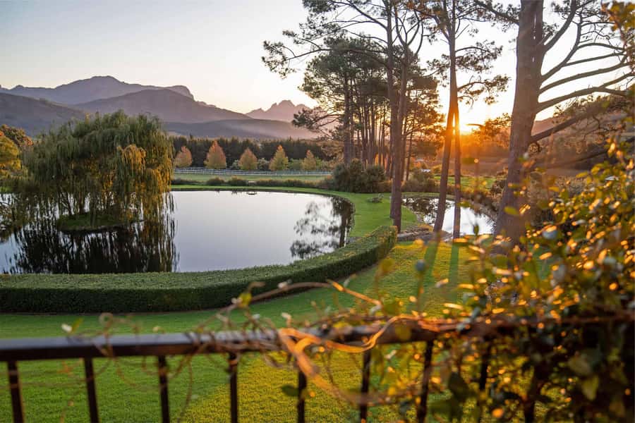 Private Winelands Immersive Experience Full Day - Paarl Morning: Cheese and Wine, Then Chocolate and Wine at Rhebokskloof
