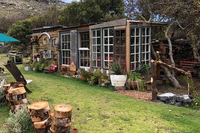 Revel in the Cape Peninsula (Penguins & Cape of Good Hope) - Cape Point Vineyards lunch and tastings with real choices
