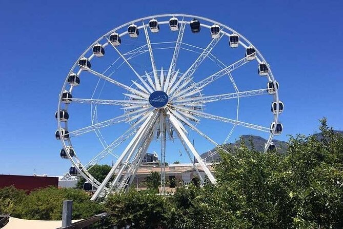 Robben Island Guided Tour & Two Ocean Aquarium with tickets - Two Oceans Aquarium: penguins, sharks, and jelly fish at the waterfront