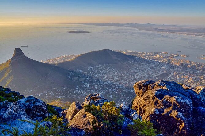 Robben Island Guided Tour & Two Ocean Aquarium with tickets - Who should book this combo, and who should skip it