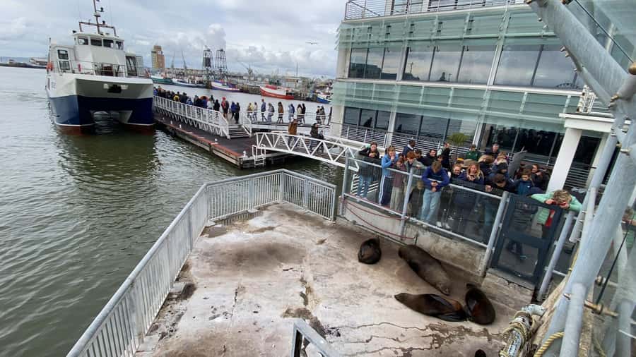 Robben Island Half Day Tour with Pre-Booked Ticket - Robben Island Museum in Half a Day, and Why This Route Works