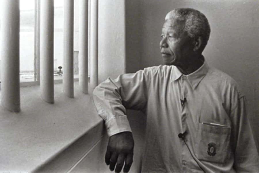 ROBBEN ISLAND MUSEUM TOUR, WITH OPTIONAL LAST MINUTE TICKETS - UNESCO Island With a Museum-First Approach