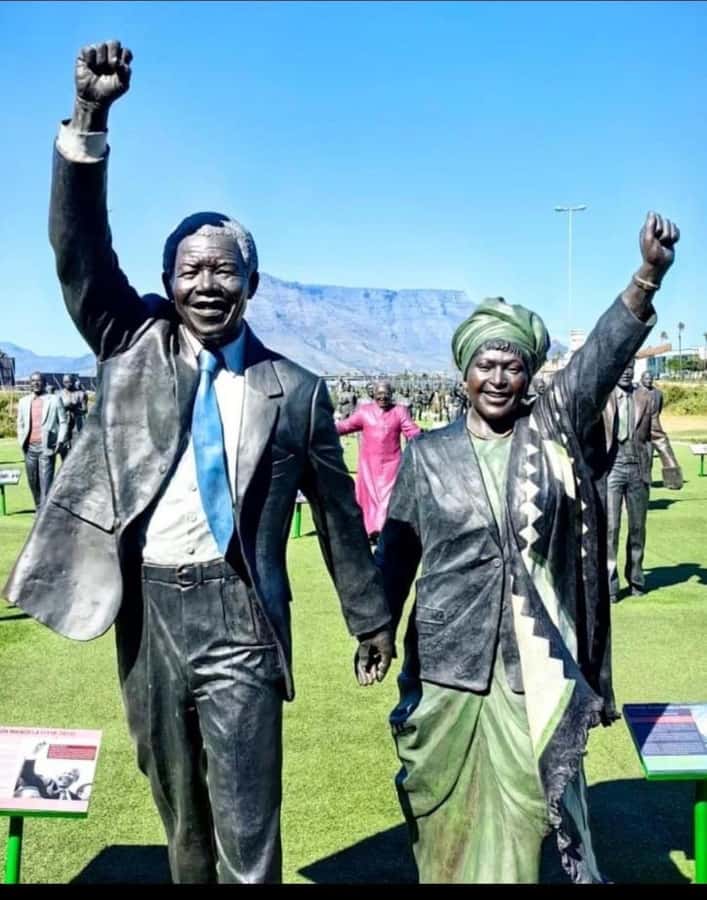 Robben Island Museum Tour with Transfer and Ferry Tickets. - The island visit: 3.5 hours on Robben Island with a real guide