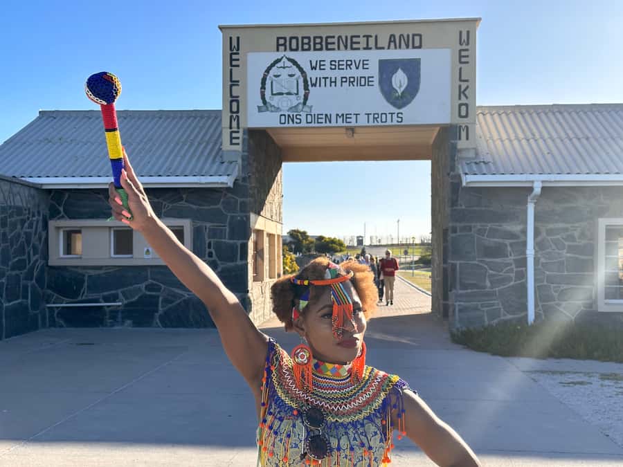 Robben Island Tickets, Penguins, and Private Cape Point Tour - Key highlights worth planning around