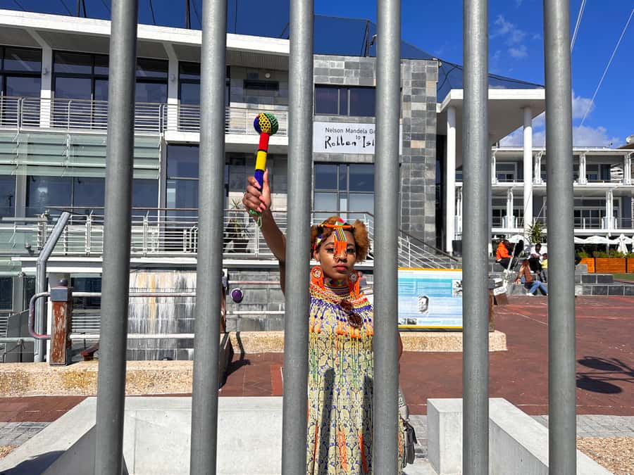 Robben Island Tickets, Penguins, and Private Cape Point Tour - Getting Around With a Private Guide: What the Luxury Vehicle Changes
