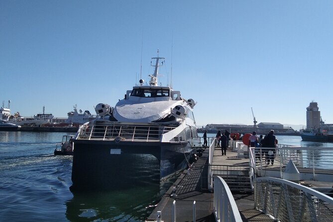 Robben Island Tour including Pick Up & Drop Off from Cape Town - The Robben Island Museum stop: where the story gains shape