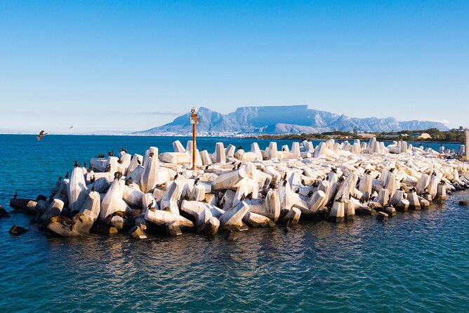 Robben Island Tour; Pickup, Drop-off; Guided Tour Historic Prison - Key highlights to know before you go