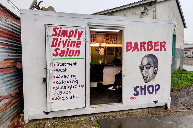 Robben Island & Township Full-Day Tour - Price and logistics: what $111 buys you