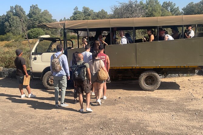 SAFARI Aquila Game Reserve - Round trip + Lunch incl. (Cape Town) - Price and value: what $276.39 includes (and what it does not)