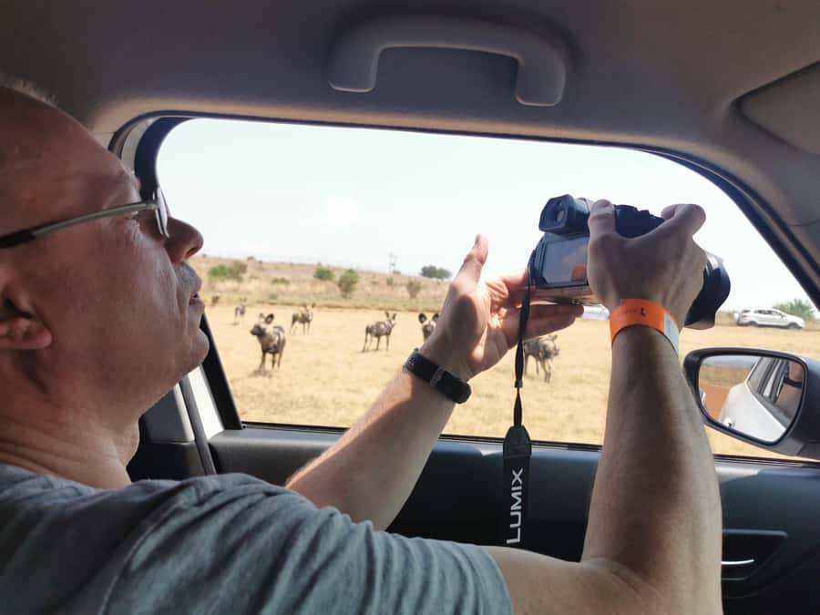 Safari at Lion and Rhino Park / Lesedi Culture Village - Where this safari and culture combo fits best in Gauteng
