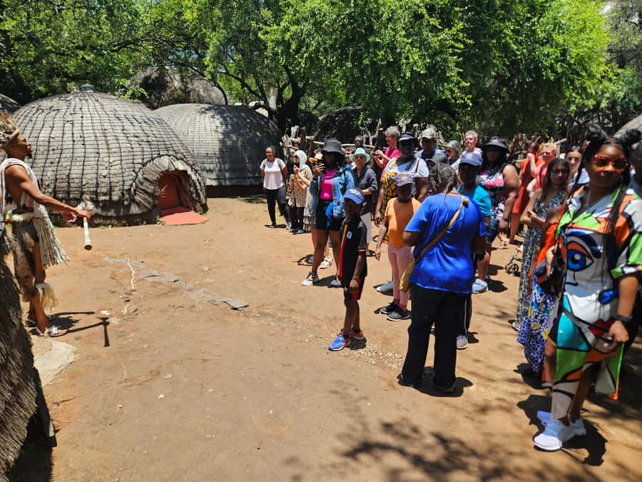 Safari at Lion and Rhino Park / Lesedi Culture Village - What the safari management means for your comfort and expectations