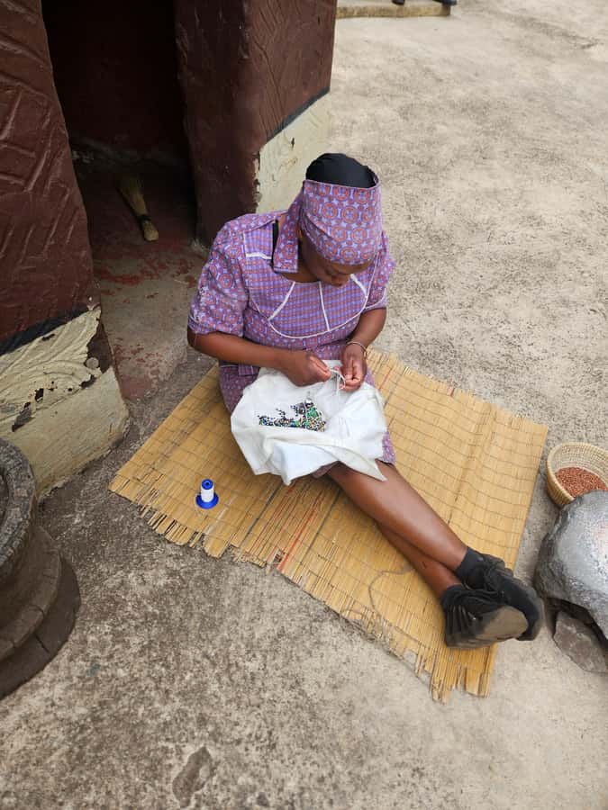 Safari at Lion and Rhino Park / Lesedi Culture Village - Timing and what a 6-hour day really means for you
