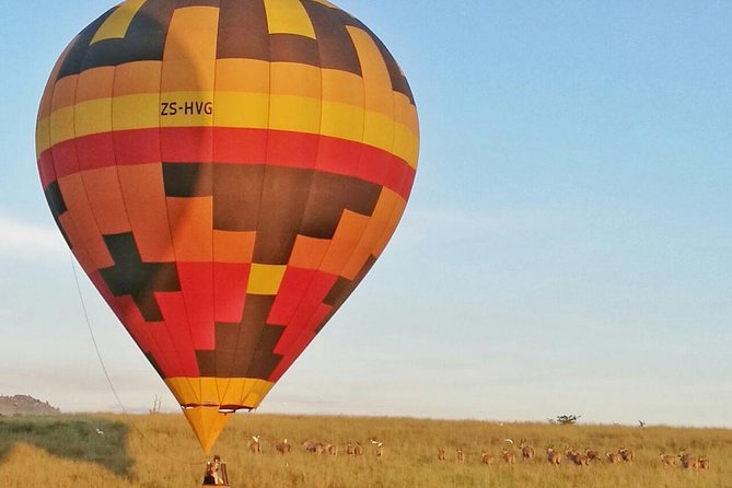 Safari Flight - Key things to know before you go