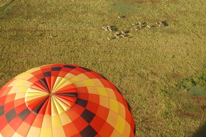 Safari Flight - Why this balloon safari feels like a real game drive, just quieter