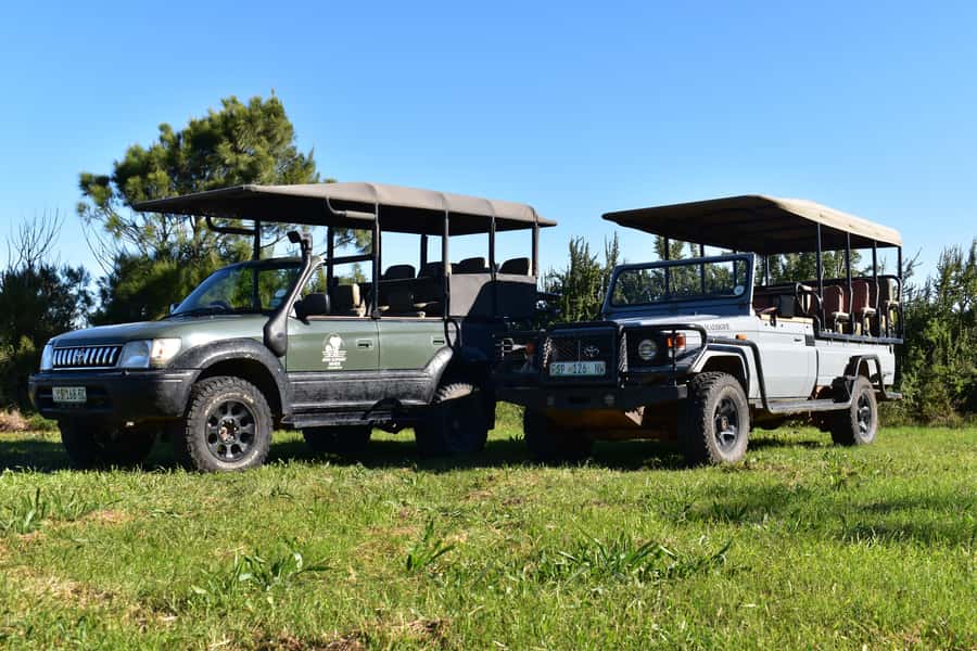 Safari into Schotia Full Day Tour - Key things that make this safari worth your time