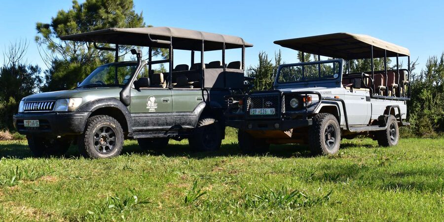 Safari into Schotia Full Day Tour - The braai lunch: simple, filling, and genuinely safari-appropriate