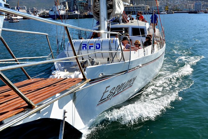 Sailing in The Bay by Catamaran (One Hour) - Photo checklist: Table Mountain, coastline angles, and deck time