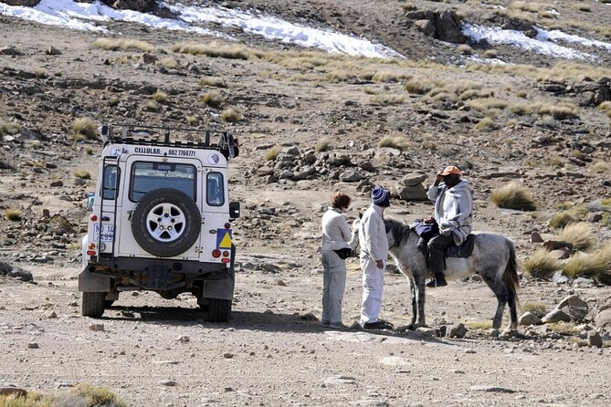 Sani Pass & Lesotho 4x4 Experience Day Tour from Durban - Guide quality and the 4x4 rhythm: why the names matter