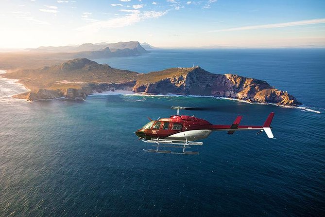 Scenic Cape Point Helicopter Tour from Cape Town - The Pilot’s Onboard Commentary Makes It Click