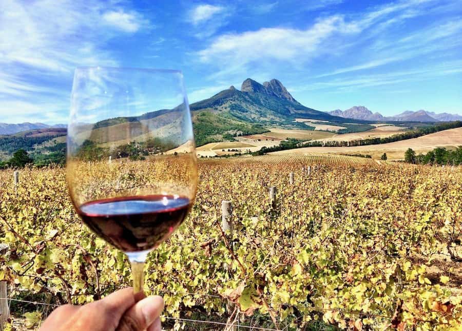 SCHEDULED FRANSCHHOEK WINE TRAM EXPERIENCE (by group size) - Price and value check: what $74 really includes