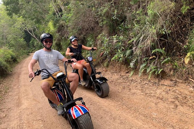 Scooter Tours through Tsitsikamma National Park - How the guide turns the forest into something you can name
