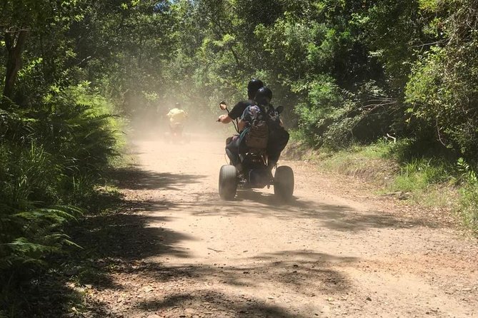 Scooter Tours through Tsitsikamma National Park - Wildlife moments, from baboons to the birds above