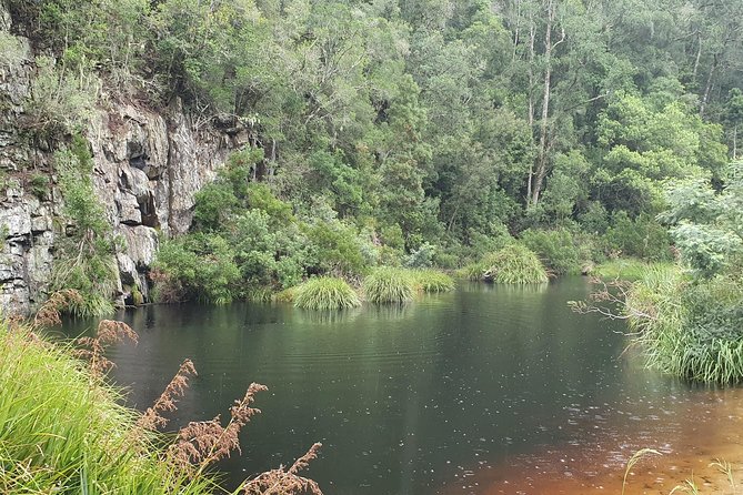 Scooter Tours through Tsitsikamma National Park - Where you start, where you end, and how easy this is to fit in