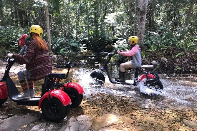 Scooter Tours through Tsitsikamma National Park - Scooter controls and the safety briefing that actually helps