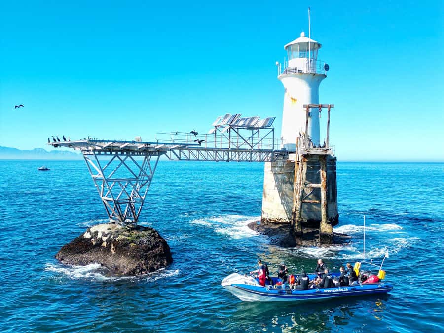 Scuba Dive in Cape Town: 2 Dives for certified divers - Key things to know before you go