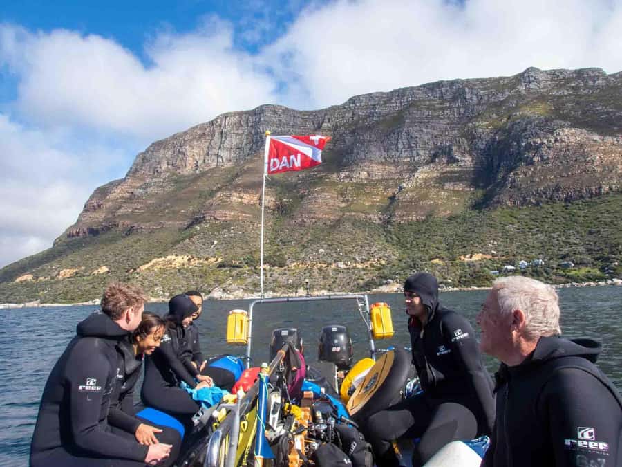Scuba Dive in Cape Town: 2 Dives for certified divers - Kelp Forest Second Stop: Stingrays, Catsharks, Octopus, and Endemic Fish