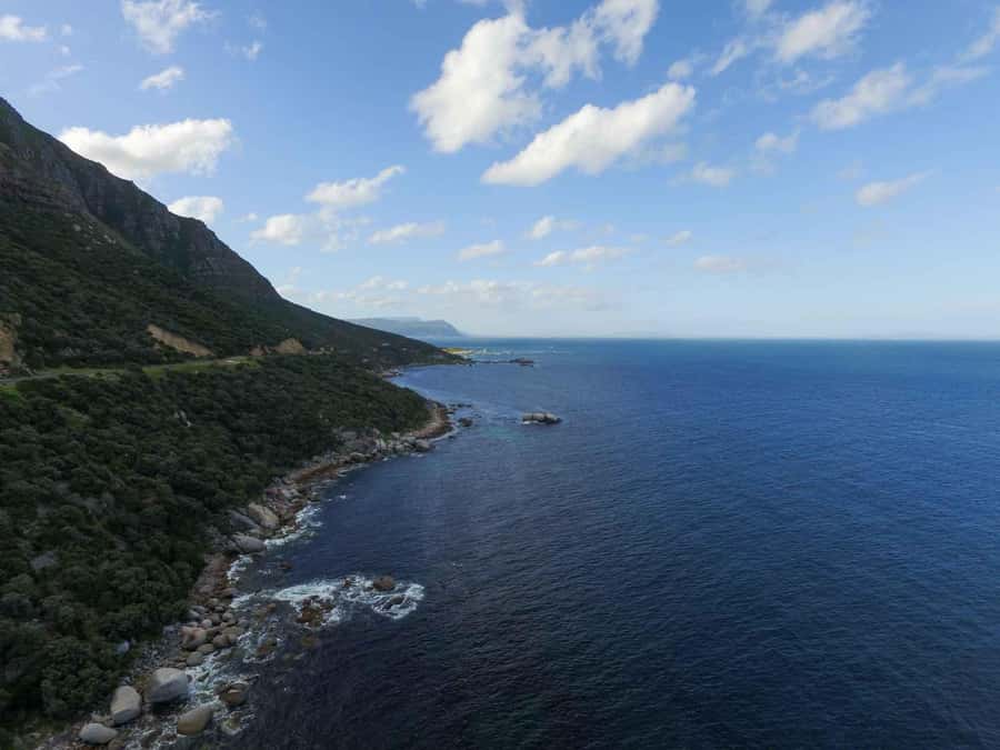 Scuba Dive in Cape Town: 2 Dives for certified divers - Creature Spotting and the End-of-Day Identification Support