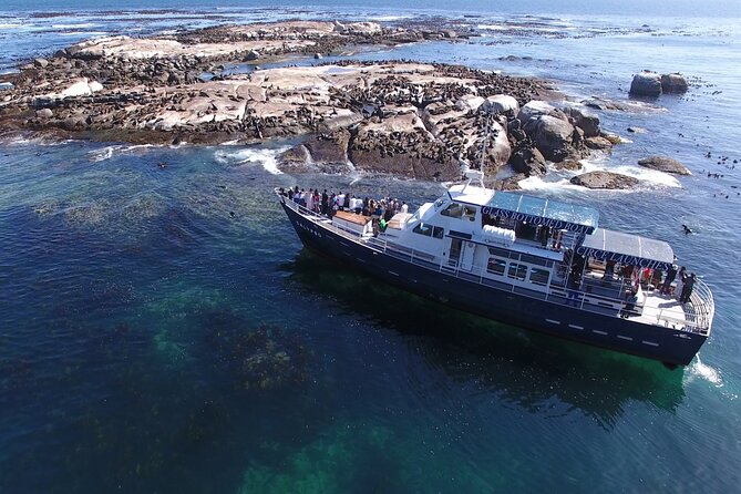 Seal Island,Cape of Good Hope&Penguins Shared Tour,From Cape Town - Boulders Beach penguins: boardwalk views and close-range photo time