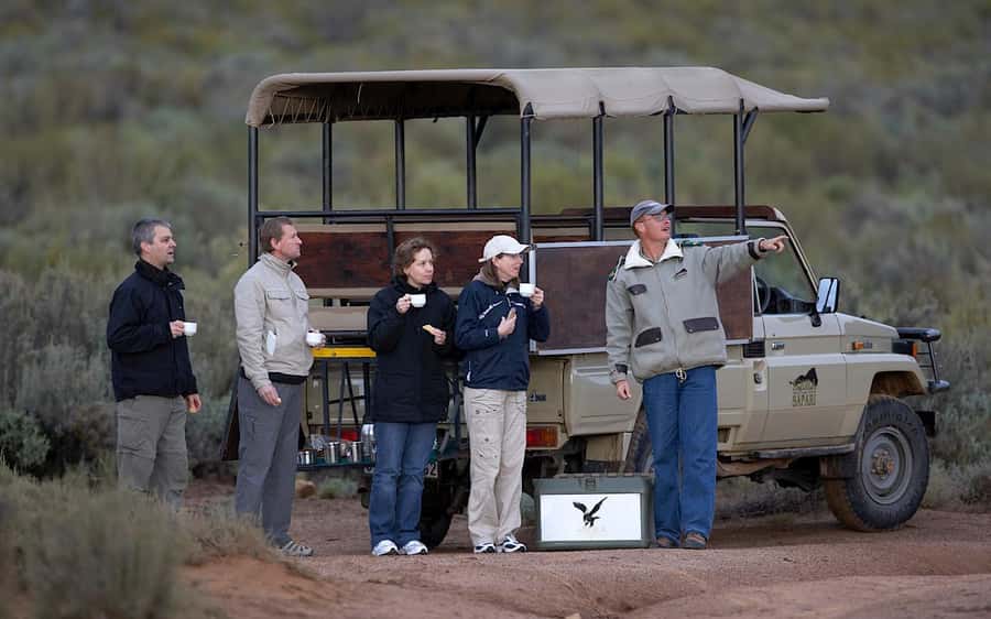 Self drive Aquila Safari Game Reserve Sunset Game Drive - Ranger-led viewing in English: why the guide changes everything