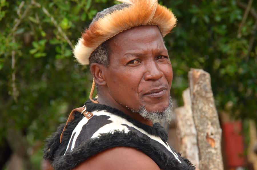 Shakaland and Zulu Culture Full-Day Trip - Key highlights you’ll actually remember