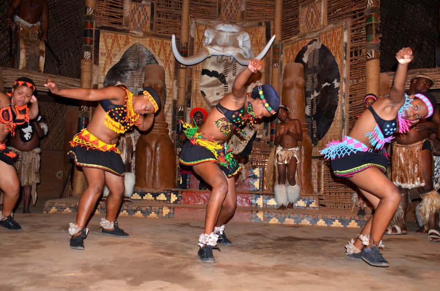 Shakaland and Zulu Culture Full-Day Trip - Dlinza Forest Reserve: raised boardwalks and the duiker moment