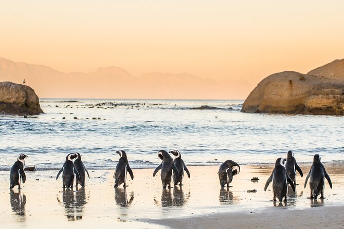 Shared Half Day Tour in Cape Peninsula with African Penguins - Muizenberg pass-by: a quick look at the colorful beach huts